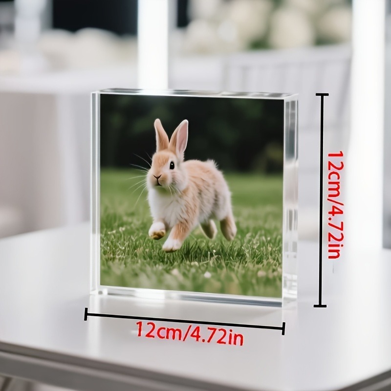 1 Stück personalisiertes Foto- – Photo Acrylic Block Bewertung und Preis