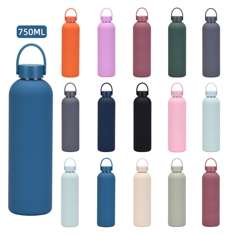 350/500/750/1000ml Edelstahl-T – Water Bottle Blank Bewertung und Preis